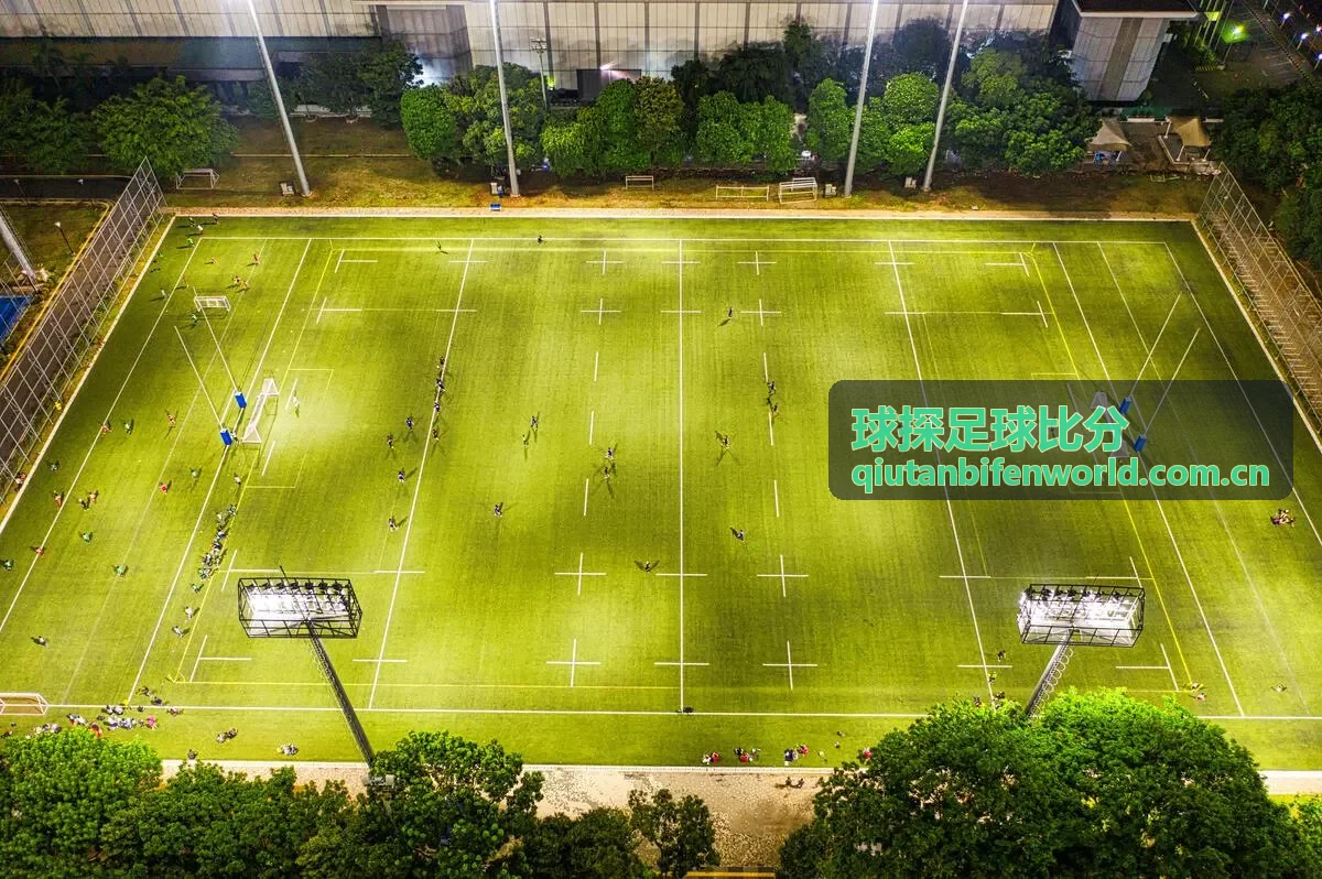 球探足球比分联赛射手榜观察封面